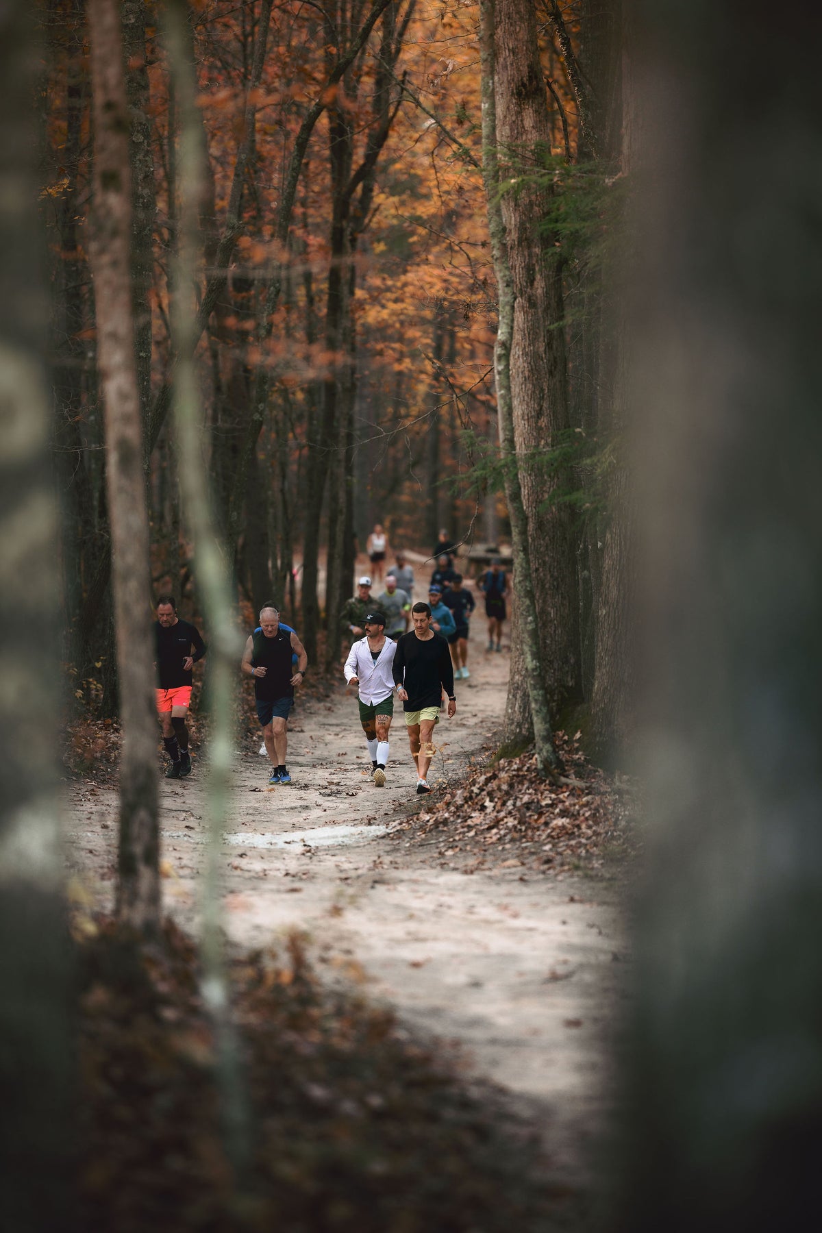 The Long Run