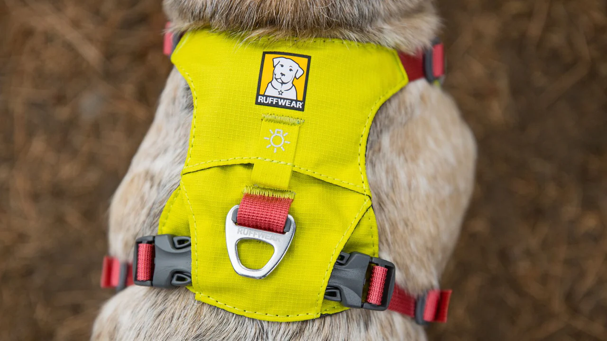 Ruffwear Hi & Light Harness, view 2