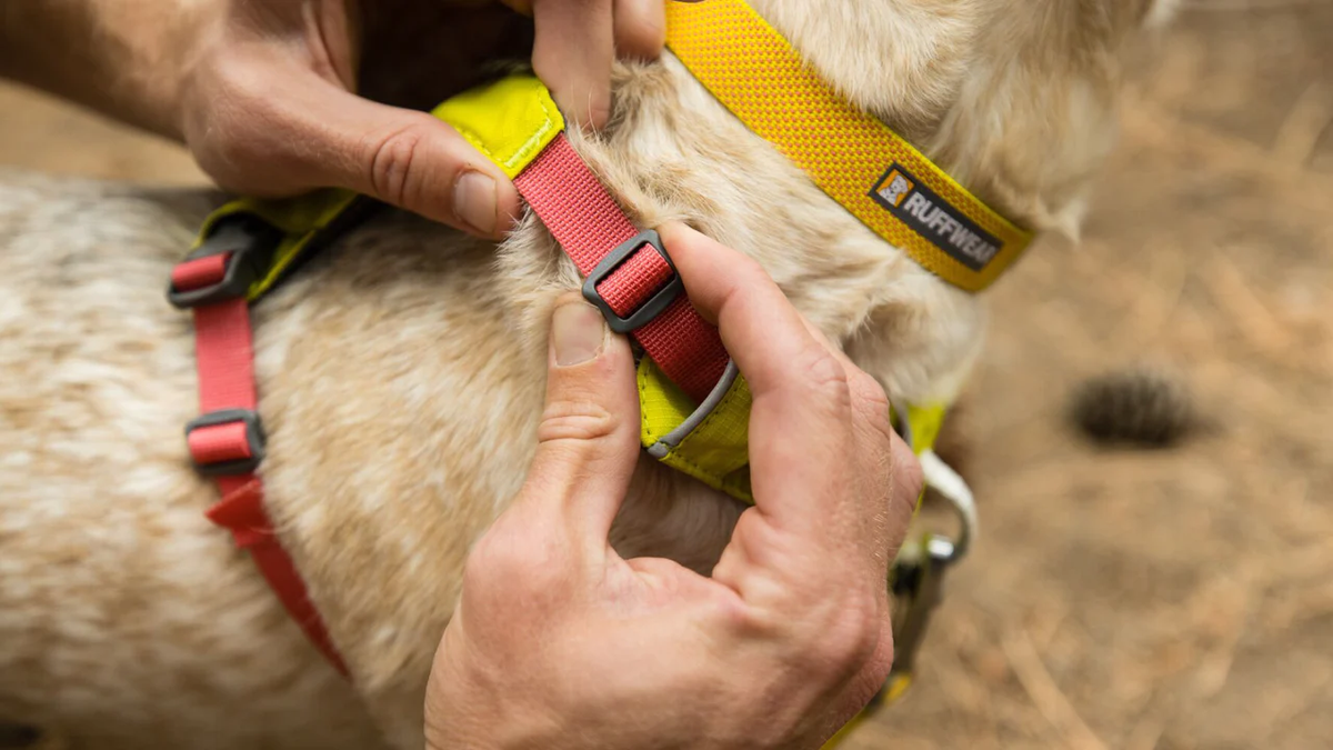 Ruffwear Hi & Light Harness, view 4