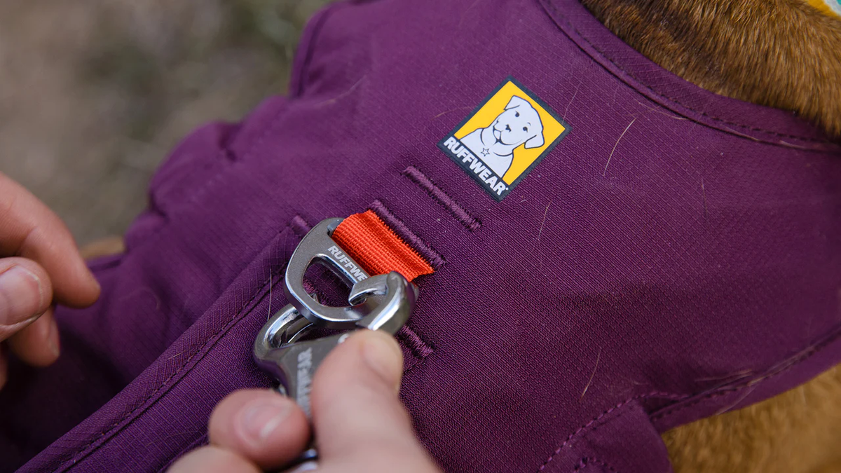 Ruffwear Webmaster, view 4