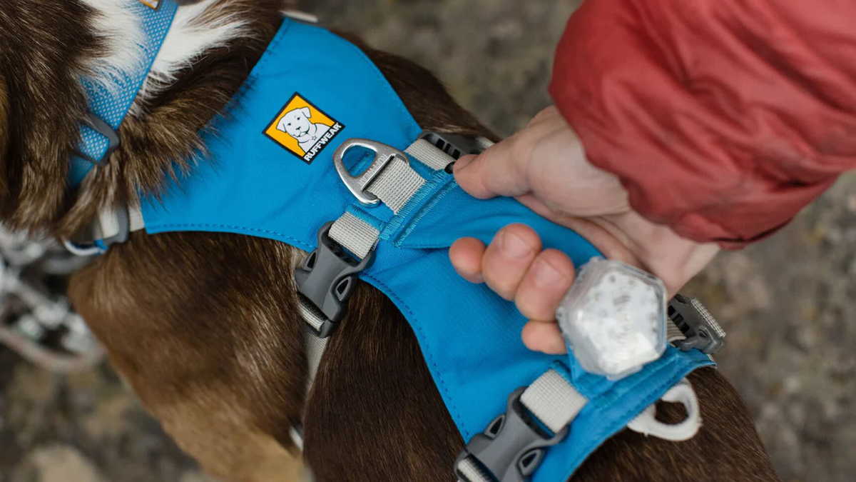 Ruffwear Flagline harness, view 2