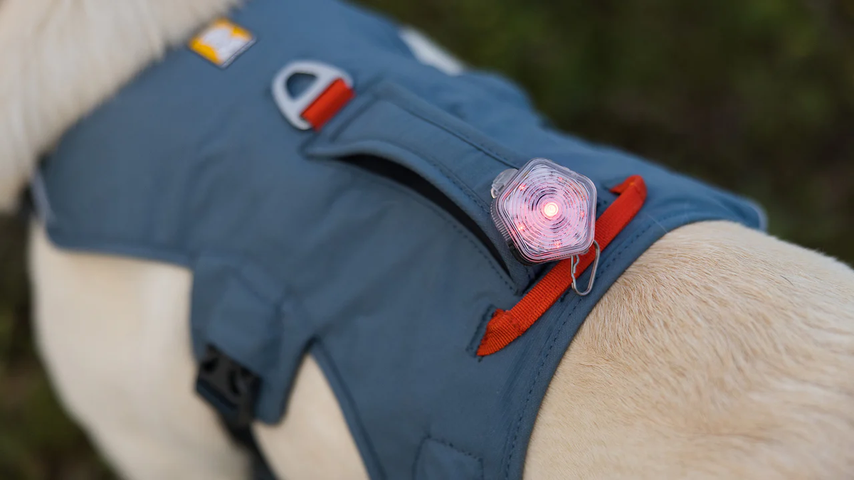 Ruffwear Webmaster, view 6