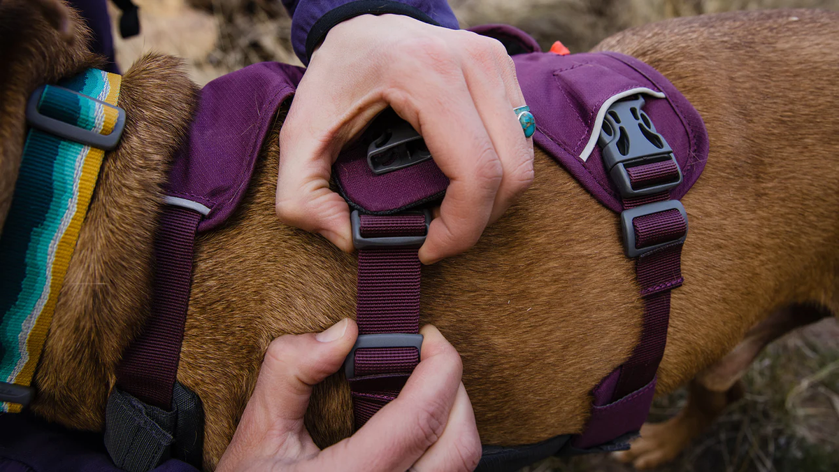 Ruffwear Webmaster, view 5